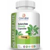Kalanchoe Pinnata-Leaf of Life (Bryophyllum Pinnatum) 60 Cápsulas De 750mg Bottle.