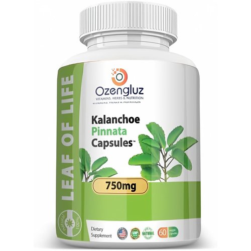 Kalanchoe Pinnata-Leaf of Life (Bryophyllum Pinnatum) 60 Cápsulas De 750mg Bottle.