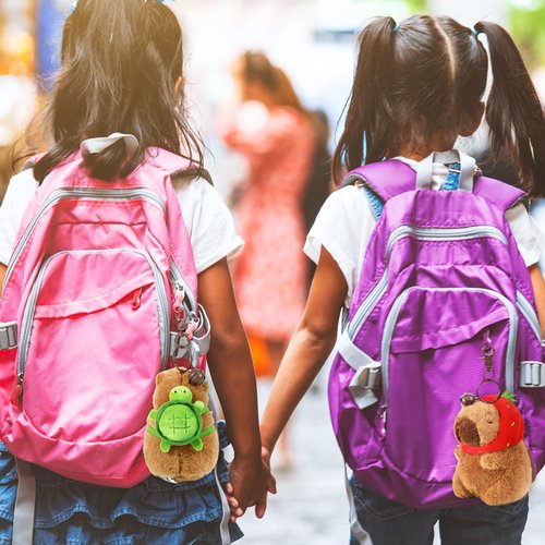 Ditucu 2 Pcs Capybara Plush Keychain Toys Kawaii Strawberry Turtle Capibara Stuffed Animals Dolls Pendant for Backpack Decoration Gift for Kids