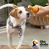 The Dodo Eco-Friendly Dental Dog Chew Toy, Chicken Flavor; Bamboo Mixed Material Dog Toy, Durable and Easy to Grip Shape Dog Chewer Toy
