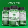 Supergreens Gummies - Daily Green Superfoods Supplement with Spinach, Broccoli, Moringa, Beet Root, Celery, Green Tea, & Acai for Immunity Support - Natural Raspberry Flavor, 60 Supergreen Gummies