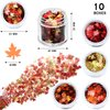 Maitys 10 Boxes Fall Nail Glitter Stickers Autumn Nail Leaves Thanksgiving Maple Leaf Nail Sequins Decor Halloween Christmas Holographic Nail Design Sequins Decals for Women DIY Nail Decoration