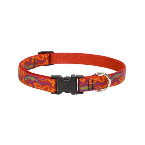 Dog Collar 13-22adj Ggko