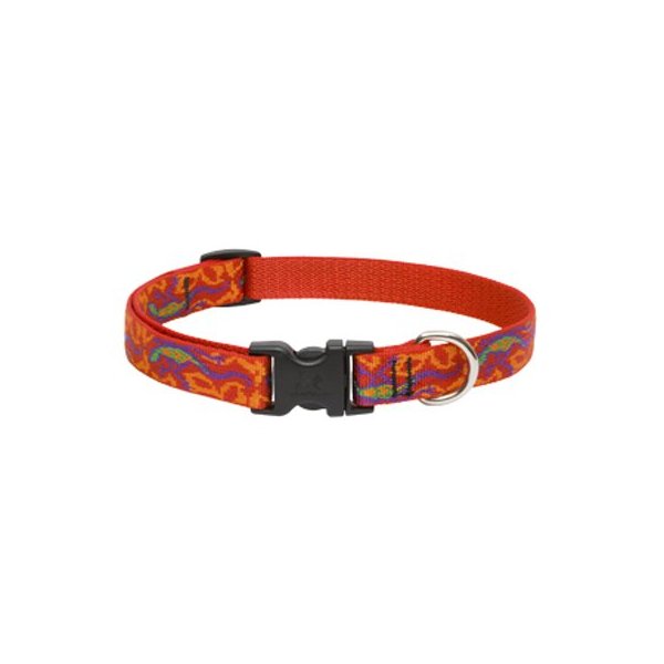 Dog Collar 13-22adj Ggko