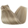 Sunny Clip in Hair Extensions Blonde Clip in Human Hair Extensions Light Blonde Highlighted Golden Blonde Clip in Hair Extensions Real Human Hair Blonde Hair Extensions 7pcs 120g 20inch