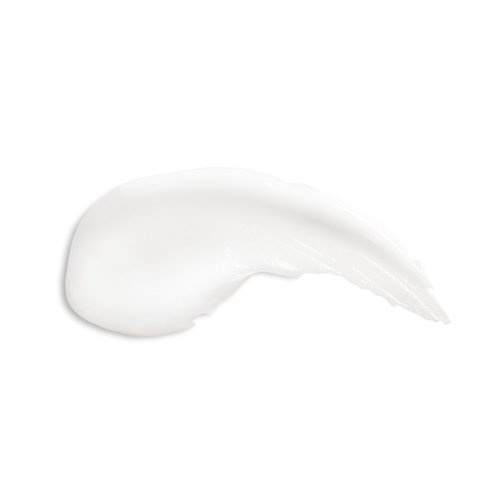 Beekman 1802 Pure Goat Milk Hand Cream, Lavender - Scented - 2 oz - Moisturizing Lotion for Dry Skin - Anti-Aging Hydration - Good for Sensitive Skin - Cruelty Free