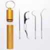 Portable Toothpicks Pocket Set, Dental Floss Picks, Reusable Flosser, Travel Tooth Picker, Flossers for Adults, Stainless Steel Teeth Cleaning Kit
