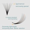 Promade Fans Lashes 600 Pcs Loose Fans 10D 0.07mm C Curl Premade Fans Eyelash Extensions 9-14mm Mixed Length Multiple Options Pro Made Fans Eye Lash Extensions (10D 0.07 C 9-14 mix)