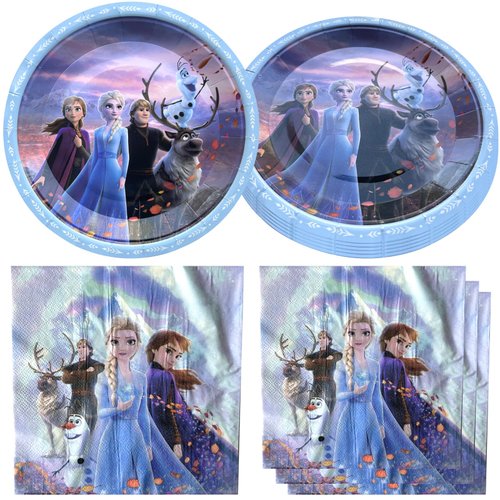 Frozen Birthday Party Supplies, Include 20 Plates and 20 Napkins, for Frozen Theme Birthday Party Decorations