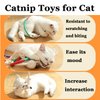 Benbabuwe 4Pcs Cat Toys for Indoor Cats Chew Ropes, Catnip Toys Interactive Cat Toy Safe Teeth Cleaning Toy for Kittens Cotton Rope Teeth Toys for Bored Cats Self Play Adult Cats, Yellow and Orange