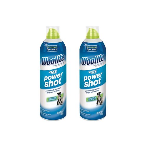 Woolite Oxy Deep Power Shot Fresh Scent Carpet Cleaner 14 oz. Liquid, Pack of 2