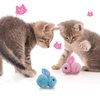 Amaxiu 10Pcs Cat Plush Toy Balls, Cute Bunny Shape Kitten Pompom Soft Kittens 5.5cm/2.16in Puff Ball Indoor Fun Colorful Cat Ball Toy Cat Pom Pom Balls for Pet