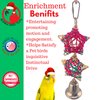 Bonka Bird Toys 960 Christmas Star Festive Xmas Vine Chew Parrot Cage Toy Conure, Cockatiel, Parakeet, and Similar Breed Sizes