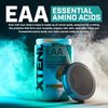Scivation XTEND EAA + BCAA Powder | Muscle Recovery & Lean Muscle Growth | 9 Essential Amino Acids for Intra Workout or Post Workout Recovery | 10g EAAs Per 2 Servings | Mango 40 Servings
