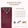 GOO GOO Clip in Hair Extensions Real Human Hair, 18inch 120g 7Pcs, 530 Burgundy, Remy Human Hair Extensions Clip ins for Women, Natural Human Hair