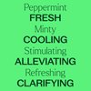 Plant Therapy Peppermint Essential Oil 10 mL (1/3 oz) 100% Pure, Undiluted, Natural Aromatherapy for Diffuser & Topical Use, Digestion, Respiratory, & Massage, Peppermint Oil for Skin & Hair