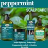 Difeel Peppermint Scalp Care Hair Oil 7.1 oz.- Deluxe 2-PC Gift Set