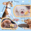 Woof² Curry Fishball Soft Plush Squeaky Dog Pull Toy - Durable, Iconic, Cute & Fun Rope Toy for Interactive Bonding Time, Sliding Mechanism, Hide Food for Puzzle Play, Small Medium Dogs