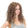 SWACC 20-Inch Long Big Bouffant Curly Wigs for Women Synthetic Heat Resistant Fiber Hair Pieces with Wig Cap (Light Brown Auburn Blonde Mixed)