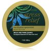 Bath & Body Works Aromatherapy Body Butter Eucalyptus Spearmint Stress Relief Holiday Edition