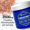 NATURAL STACKS Creatine Monohydrate Pills 2500mg - Maximum Absorption Formula w/Himalayan Salt & Fenugreek | Supports Brain Health, Endurance & Muscle Building - 120 Creatine Capsules