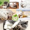 Gochanmon Catnip Toys-2Pcs Natural Silvervine Stick Catnip Ball&Bell Ball-Cat Toys for Indoor Cats- Cleaning Teeth Molar Tools Matatabi Cat Chew Toy-Kitten Toys All Breeds