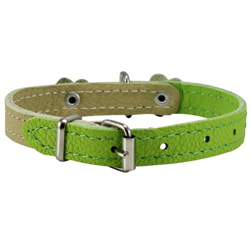 Genuine Leather Designer Dog Collar, Daisy, Studs. 11" x1/2" Wide. Fits 8"-10" Neck, Yorkshire Terrier, Puppies