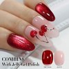Double Rhythm 0.5 OZ Cat Eye Gel Polish with Magnet 15ML Holographic Glitter Shimmer Translucent Jelly Color Magnetic Nail Polish Salon DIY at Home (Blood Red-MC1046)