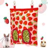 Terossy Rabbit Hay Feeder, Hanging Guinea Pig Hay Feeder Bag for Bunny Chinchilla Hamster with Back Hooks, 2 Holes, 9.8x11.4Inch