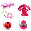 SoSoCute Pink Dog Gift Box - Puppy Chew Toy Set of 5 - Puppy Care Package with Dog Blanket, Squeaky Plush, Rubber Puppy Teether, Teething Ball, and Treat Ball for Small and Medium Dogs