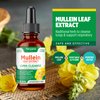 Mullein Leaf Extract for Lungs: Mullein Drops for Lungs