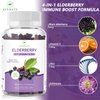 AFXMATE 2 Pack Elderberry Gummies Sambucus Black Elderberry - for Adults Kids, with Zinc and Vitamin C, 120 Gummies