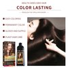 MOKERU Professional Argan Oil Hair Dye Color Shampoo 500 ML: Instant Fast Acting Long Lasting Signature Bundle by Maani (Purple)