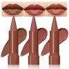 BINGBRUSH Matte Longwear No-Budge Lipstick Makeup,Highly Pigmented Color, Cheeky, Soft Matte Lip Cream Lightweight Lipgloss stick (01#&02#&04#, 3pcs)