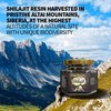 Pure Authentic Siberian Altai "Golden Mountains" Shilajit Resin 100g 3.53oz - Measuring Spoon – Quality & Safety Certificate in each Box