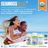Power By Naturals Sea Moss Plus - USDA Certified Organic Irish Sea Moss Capsules w/Wild Harvested Irish Seamoss, Bladderwrack & Burdock Root Immunity Supplement Sea Moss Pills for Adult 60Ct - 1 Pack