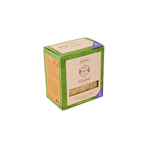 Crate 61, Handmade in Canada, Plant Based Cold Process Natural Bar Soap For Face And Body, With Premium Essential Oils, Eucalyptus & Peppermint For Men And Women 3 Pack (Eucamint)