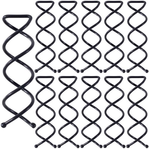 HINZIC 15PC Spiral Hair Pins, Non-Scratch Round Spiral Bobby Pins Black French Twist Decorative Hair Accessories for Women Girls Bun Style DIY