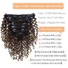 Clip in Human Hair Extensions Afro Jerry Curly 3B 3C Real Hair Clip in Extensions For Black Women Natural Black Colour 100% Brazilian African American Hair Extensions (60cm , Jerry Curly 1B/4)