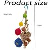 Setaria Viridis Bird Chew Toys Parrot Toys Bird Toys Natural Nuts Rattan Ball Parrot Tearing Toy Bird Chewing Toy for Macaws, Cockatoos,African Grey Parrots and Other Small Medium Birds