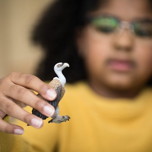 Schleich Wild Life, Animal Figurine, Animal Toys for Boys and Girls 3-8 years old, Vulture, Ages 3+
