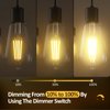 Dimmable Edison LED Bulbs 60 Watt Equivalent, 6W, Antique E26 LED Bulb 60 Watt Clear Light Bulbs, 2700K Soft Warm White Light LED Bulbs ST64 with 750LM, CRI 85+, E26 Medium Base,12Packs