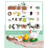 Life Cycle Learning Toys for Kids: Life Science Education Kits with Butterfly, Frog, Chicken, Mantis, Bee, Plants - 25 Pieces Animal Figurines Montessori Toys for Children Age 3 4 5 6 7 8+