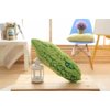 Green Simulation Vegetables, red Peppers, Broccoli, Bitter Melon, peas, Cabbage Vegetable Stuffed Plush Toys, Pillows, Lumbar Pillows, Ideal Gift for Children (Bitter Melon 21.6 inches Long)