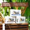Grown Ass Man Co. - Solid Shampoo Bar Rich Lather 3 in 1: Hair, Beard & Body Wash - Plastic Free & Eco-Friendly, Natural & Organic Clean for All Hair Types, 4oz Bar (Last Call, Single)