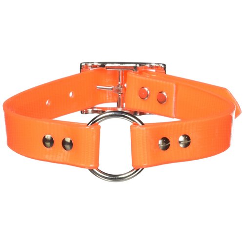 OmniPet Sunglo Ring in Center Dog Collar, 1 x 21, Orange