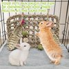 Hamiledyi Rabbit Seagrass Mat Hanging Bunny Chew Toys for Teeth Rabbit Enrichment Activity Mat Small Animal Toys for Guinea Pigs Chinchillas Gerbils Birds