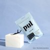 PUL Biodegradable Mint Dental Floss Picks | Eco-Friendly Charcoal Infused Twin Floss System | Strong, Minty Fresh Teeth Flossers | Shred-Resistant & Fluoride Free Dental Picks - 50 Count