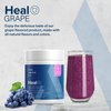 The Amino CO - Heal - Post Workout Recovery Drink with Pure Eaa Amino Acid Formula - Creatine Monohydrate Powder for Efficient Muscle Repair, Vegan, and Keto-Friendly with Grape Flavor - 10.89oz