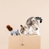Fringe Studio "ONE TUFF NUT Teaser Cat Toy, PetShop Collection (717001)